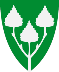 Birkenes kommune