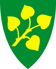Stryn kommune