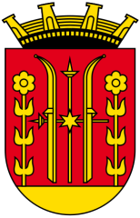 Skien Kommune